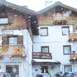 Aquila Livigno